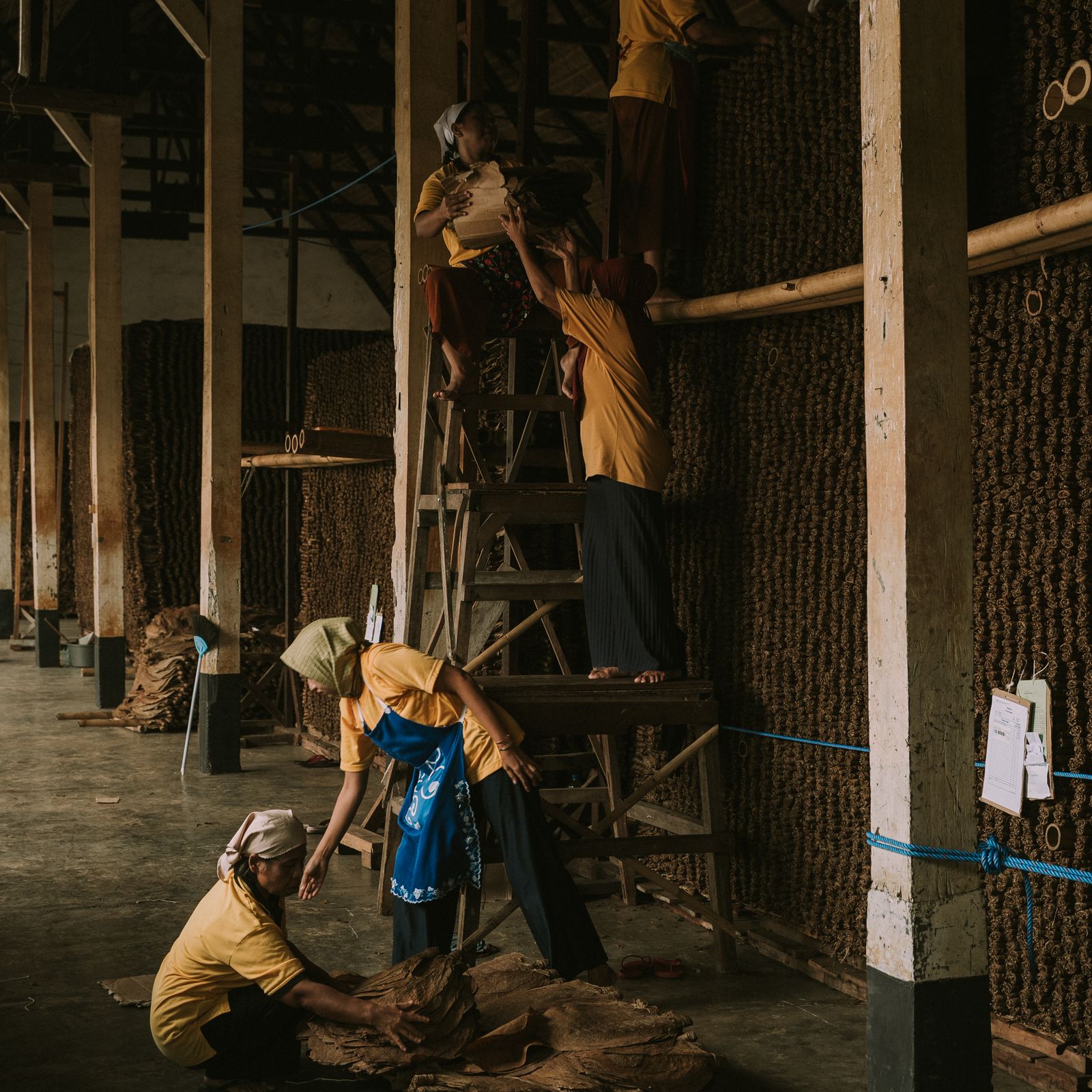 Tobacco processing, Indonesia